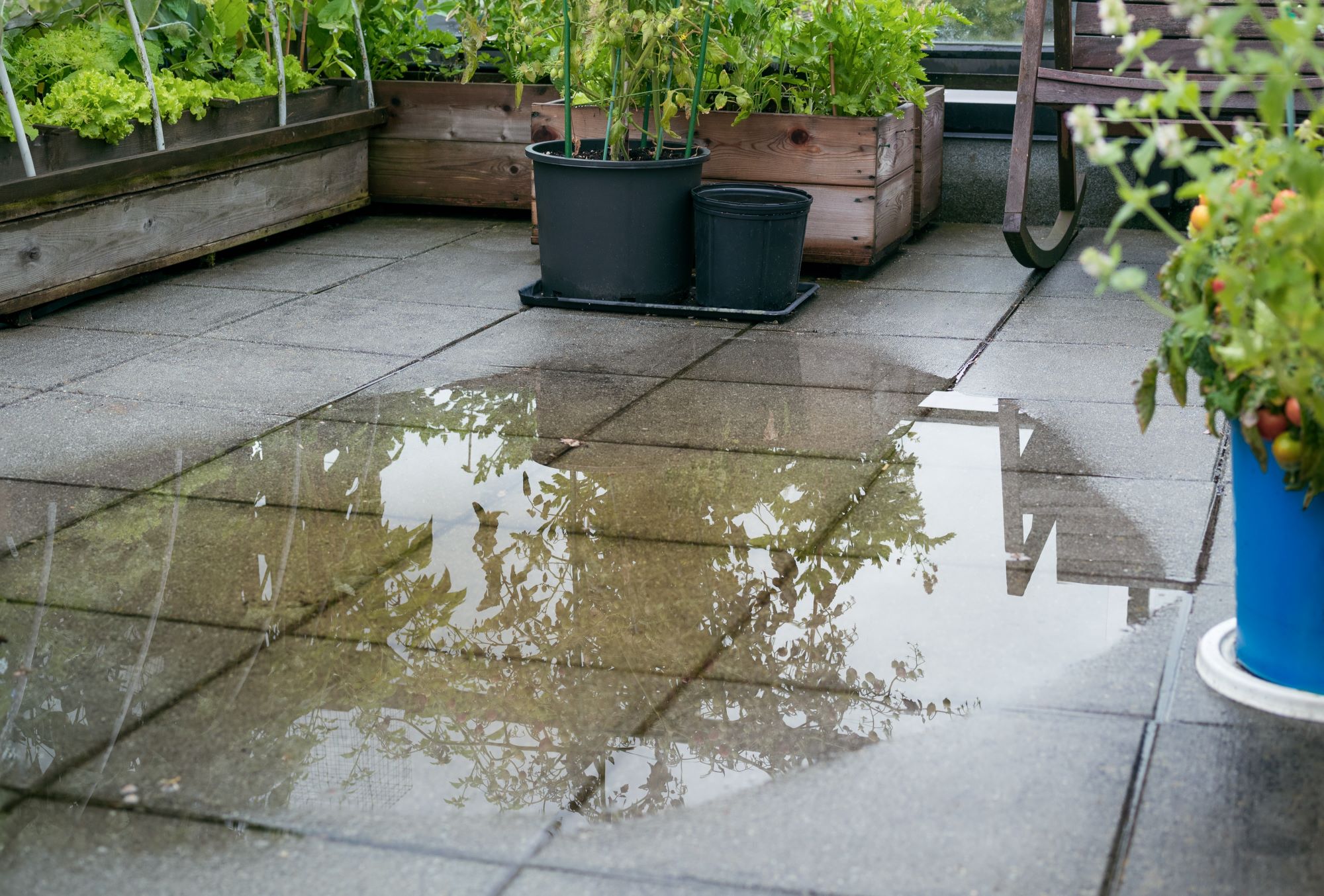 Flooded patio