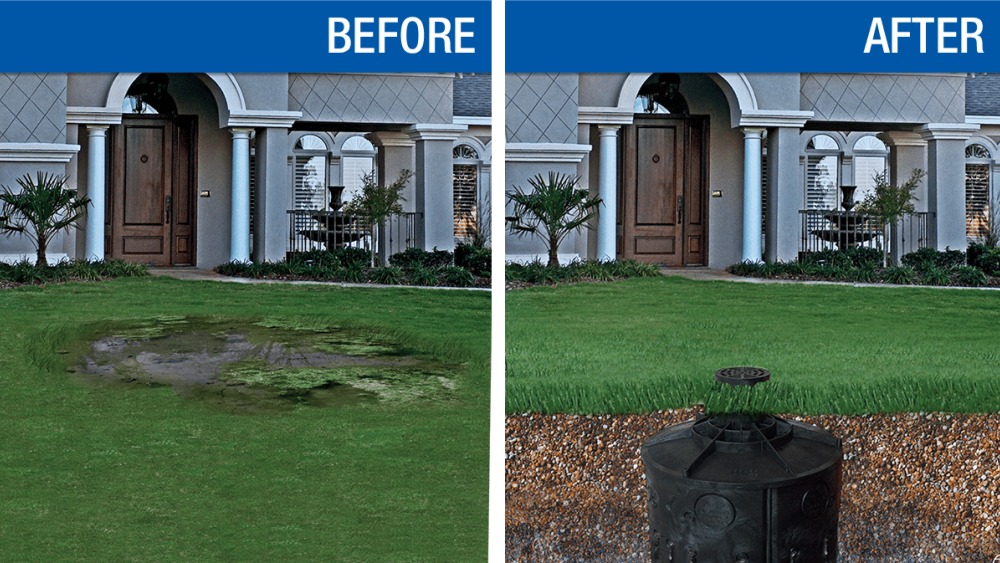 Before vs After: Standing Water on Lawns & Landscape Beds